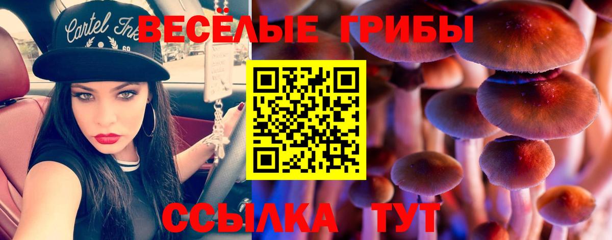 Псилоцибиновые грибы мицелий Клин