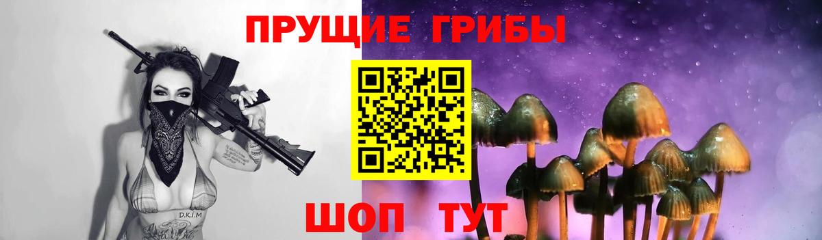 Клин  Псилоцибиновые грибы Psilocybine cubensis  Вход с VPN  Псилоцибиновые грибы MAGIC MUSHROOMS 